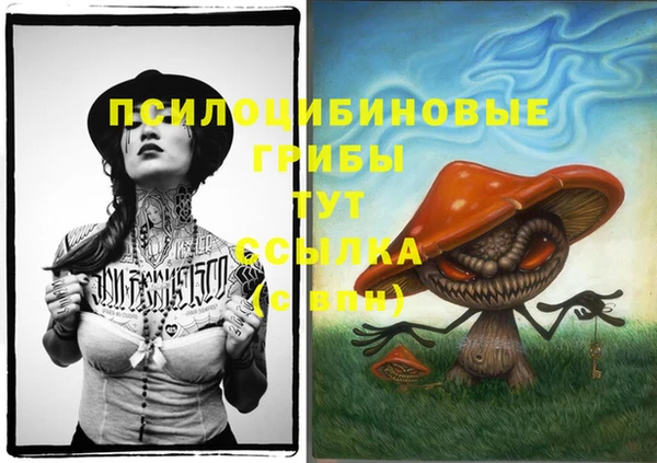 Альфа ПВП Елизово