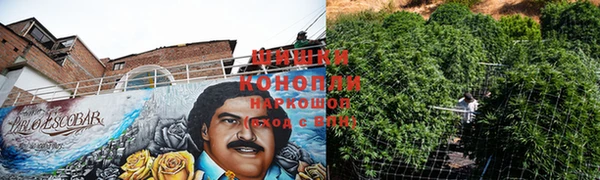 Альфа ПВП Елизово