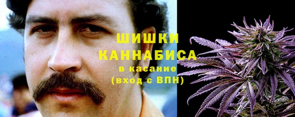 дживик Елабуга