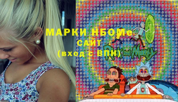 дживик Елабуга