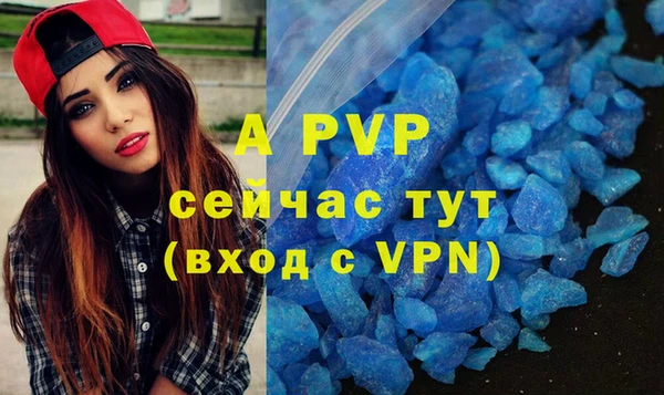 Альфа ПВП Елизово