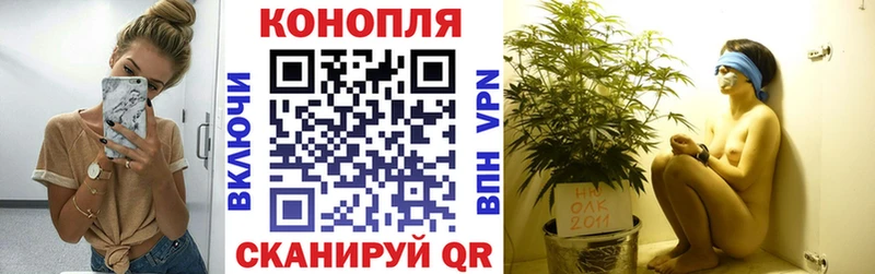 где купить   Шарья  мориарти состав  Бошки марихуана Amnesia 